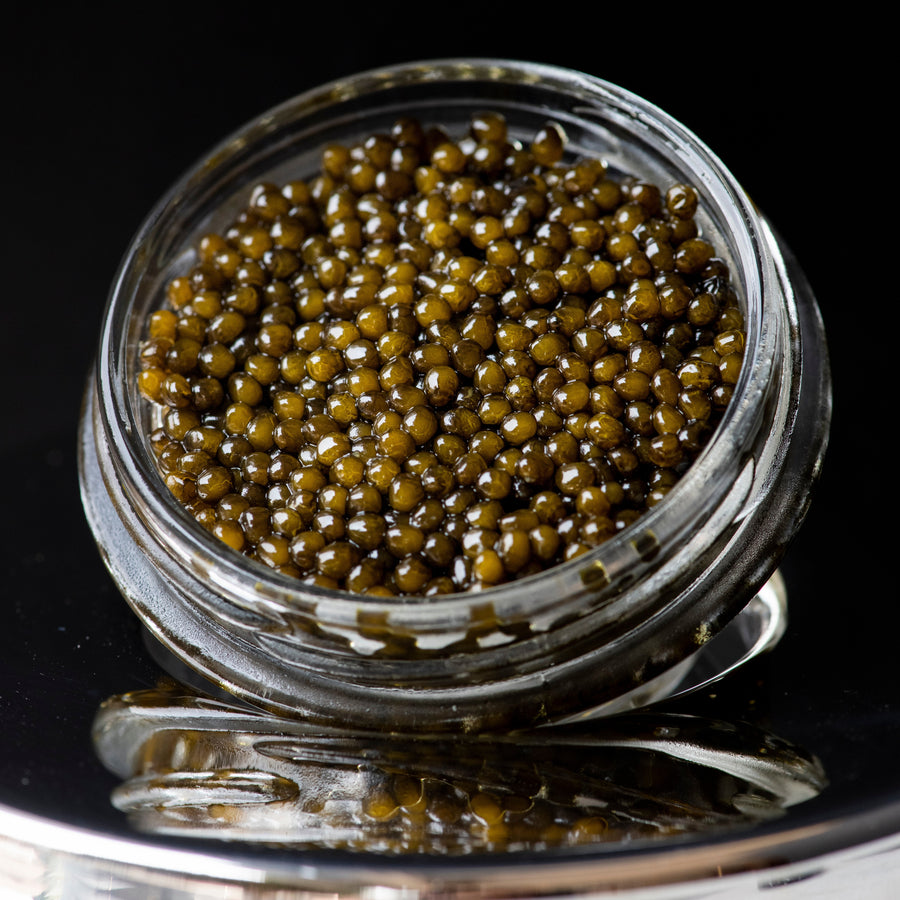 Osetra Caviar